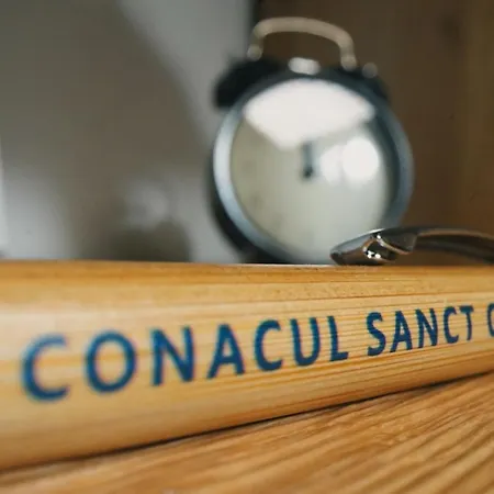 Conacul Sanct Gurgh Guest house *
