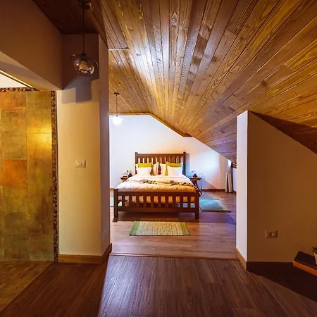 Conacul Sanct Gurgh Guest house